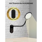 Лампа настольная National NL-59LED, сенсор, 8Вт, цвет чёрный - фото 3365623 Лампа настольная National NL-59LED, сенсор, 8Вт, цвет чёрный - фото 3365623