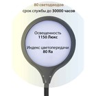 Лампа настольная National NL-59LED, сенсор, 8Вт, цвет чёрный - фото 3365630 Лампа настольная National NL-59LED, сенсор, 8Вт, цвет чёрный - фото 3365630