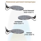 Лампа настольная National NL-74LED, 10Вт, цвет серебристый - фото 3365667 Лампа настольная National NL-74LED, 10Вт, цвет серебристый - фото 3365667