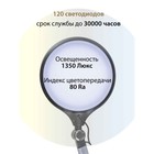 Лампа настольная National NL-74LED, 10Вт, цвет серебристый - фото 3365668 Лампа настольная National NL-74LED, 10Вт, цвет серебристый - фото 3365668