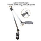 Лампа настольная National NL-74LED, 10Вт, цвет серебристый - фото 3365669 Лампа настольная National NL-74LED, 10Вт, цвет серебристый - фото 3365669