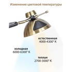 Лампа настольная National NL-94LED, сенсор, 10Вт, цвет бронзовый - фото 3365781 Лампа настольная National NL-94LED, сенсор, 10Вт, цвет бронзовый - фото 3365781