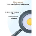 Лампа настольная National NL-94LED, сенсор, 10Вт, цвет бронзовый - фото 3365782 Лампа настольная National NL-94LED, сенсор, 10Вт, цвет бронзовый - фото 3365782