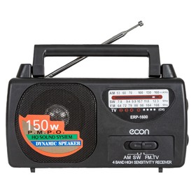 Радиоприемник Econ ERP-1600, 2Вт, 220В, FM 64-108 мГц, цвет чёрный