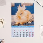 Календарь перекидной на ригеле "Символ - 2, с пословицами" 2023 год, 32х48см 7859089