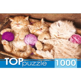 Пазлы «Спящие котята с клубками», 1000 элементов