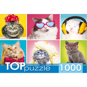Пазлы «Смешные котята», 1000 элементов