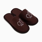 Тапочки мужские, цвет коричневый, размер 43 - фото 802054855