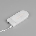 Гирлянда «Нить» 1.5 м роса с насадками «Шишки», IP20, серебристая нить, 30 LED, свечение тёплое белое, CR2032х2 7648906