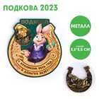 Сувенирная подкова 2023 «С кроликом весь год в деньгах везет!», металл, 3,5 х 3,5 см - фото 6933221