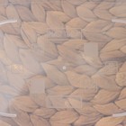 Контейнер пищевой MICRO TOP BOX, 1,3 л, 20×15×6,5 см, прямоугольный, цвет голубой - фото 802147188