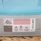 Контейнер пищевой MICRO TOP BOX, 1,3 л, 20×15×6,5 см, прямоугольный, цвет голубой - фото 802147189