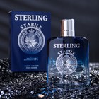 Туалетная вода STERLING STABILE мужская, 100 мл 9188636 - фото 5456008