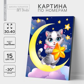 Картина по номерам на холсте с подрамником «Котик со звёздочкой» 30х40 см