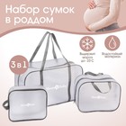 Набор сумок для роддома, комплект 3 в 1 №1, ПВХ «Речной песок». цвет серый - фото 108263941