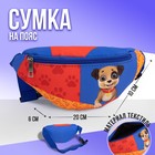 Сумка детская поясная NAZAMOK kids «Лапки» 20 см х 10 см х 6 см 7871018 - фото 6613796