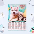 Календарь листовой "Собаки и кошки 2023 - 2" 2023 год, бумага, А3 - фото 6937058