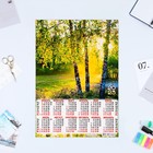 Календарь листовой "Природа 2023 - 8" 2023 год, бумага, А3 - фото 6937097