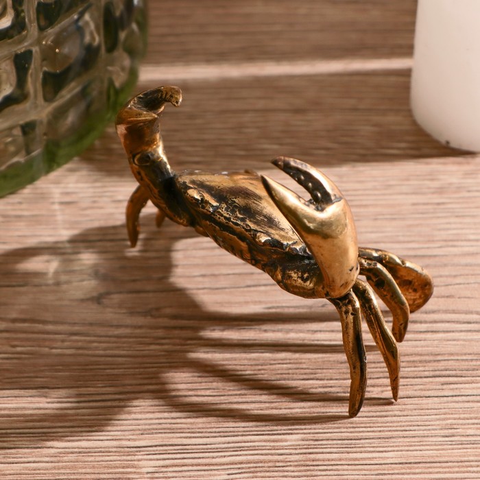 сувенир из краба. сувениры из крабов своими. краб настоящий. сувенир из краба. сделать из краба сувенир.