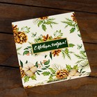 Упаковка для конфет 16 шт «Шишки» 17,7 х 17,7 х 3.8 см 9109998