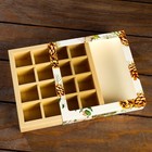 Упаковка для конфет 16 шт «Шишки» 17,7 х 17,7 х 3.8 см 9109998