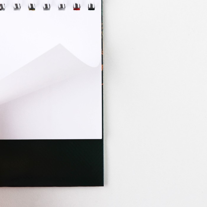 Фирменные листочки для заметок. Ежедневник а5, 80 л "россия". Записка 30. Записка 30. Записка 30.