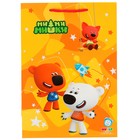 Пакет подарочный «Ми-ми-мишки», глянцевый, 22 × 31 × 10 см 9208892