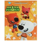 Пакет подарочный глянцевый «Ми-ми-мишки», 26 × 32 × 14 см 9208893