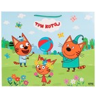 Пакет подарочный глянцевый «Три Кота», 40 × 49 × 19 см 9208899