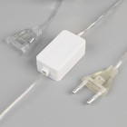 Гирлянда «Нить» 4.5 м с насадками «Цветочные шары», IP20, прозрачная нить, 15 LED, свечение белое, 220 В 7867298