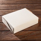 Упаковка для продуктов с окном, белая, 21 х 15 х 5 см 7908933