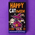 Молочный шоколад Happy catoween!, 27 г. 9105530 - фото 5554349