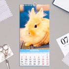 Календарь перекидной на ригеле "Символ года - 2" 2023 год, 16,5 х 34 см 9223037