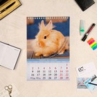 Календарь на пружине "Символ года. Вид 2" 2023 год, 17х25 см 9226737