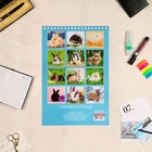 Календарь на пружине "Символ года. Вид 2" 2023 год, 17х25 см 9226737