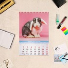 Календарь на пружине "Символ года. Вид 3" 2023 год, 17х25 см 9226738