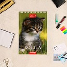 Календарь на пружине "Котята" 2023 год, 17х25 см - фото 6944317