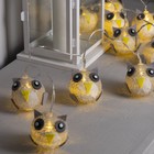 Гирлянда «Нить» 2 м с насадками «Сова», IP20, прозрачная нить, 10 LED, свечение тёплое белое, AAх2 7989819
