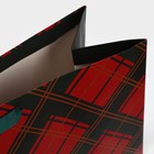 Пакет ламинированный горизонтальный «Клетка», XXL 46 х 61 х 20 см 7724332