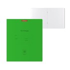 Тетрадь 12 листов в клетку ErichKrause Neon "Классика", обложка мелованный картон, блок офсет белизной 100%, зеленая - фото 4486445