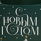 Пакет влагостойкий для цветов «Новогоднее чудо», 20 х 12 х 20 см 7705516