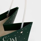 Пакет влагостойкий для цветов «Новогоднее чудо», 20 х 12 х 20 см 7705516