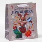 Пакет крафтовый вертикальный «Время для праздника», ML 23 × 27 × 11,5 см 7691480 - фото 7066180