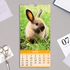 Календарь перекидной на ригеле "Символ года - 3" 2023 год, 16,5 х 34 см 9223038