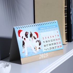 Календарь настольный, домик "Щенки и котята" 2023 год, 20 х 14 см