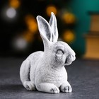 Сувенир "Кролик ушастик" 9,5см - фото 6949420
