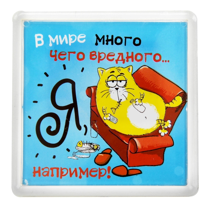 Подарок, смешные картинки на магнитах