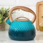 Чайник со свистком из нержавеющей стали Mist, 3 л, 23×19×22 см, цвет зелёный - фото 7084819