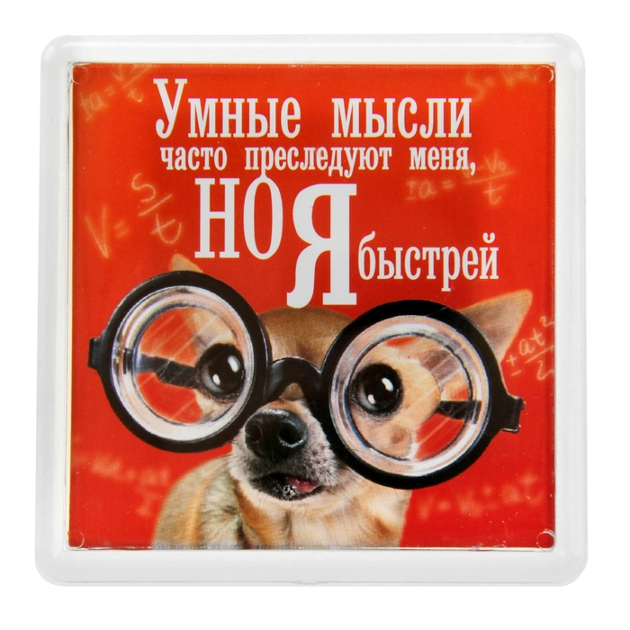 Прикольные картинки на магнитик