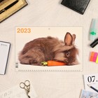 Календарь квартальный, трио "Символ Года - 4" 2023 год, 31х69см 9229030